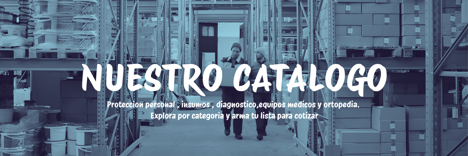 Nuestro Catálogo